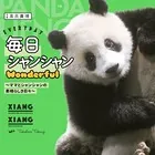 毎日シャンシャンWonderful 〜ママとシャンシャンの素晴らしき日々〜