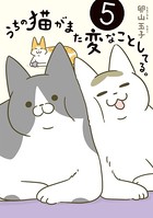 うちの猫がまた変なことしてる。 5