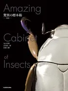 標本箱
