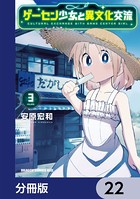 ゲーセン少女と異文化交流【分冊版】 22