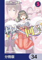 村人ですが何か？【分冊版】 34