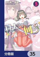 村人ですが何か？【分冊版】 35