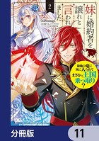 妹に婚約者を譲れと言われました 最強の竜に気に入られてまさかの王国乗っ取り？【分冊版】 11