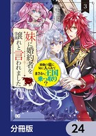 妹に婚約者を譲れと言われました 最強の竜に気に入られてまさかの王国乗っ取り？【分冊版】 24