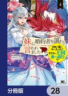 妹に婚約者を譲れと言われました 最強の竜に気に入られてまさかの王国乗っ取り？【分冊版】 28