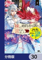 妹に婚約者を譲れと言われました 最強の竜に気に入られてまさかの王国乗っ取り？【分冊版】 30