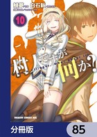 村人ですが何か？【分冊版】 85