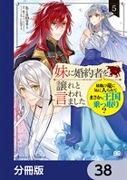 妹に婚約者を譲れと言われました 最強の竜に気に入られてまさかの王国乗っ取り？【分冊版】 38