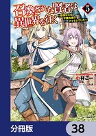 召喚された賢者は異世界を往く 〜最強なのは不要在庫のアイテムでした〜【分冊版】 38