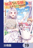 加護なし令嬢の小さな村 〜さあ、領地運営を始めましょう！〜【分冊版】 19