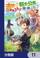 追放された転生公爵は、辺境でのんびりと畑を耕したかった 〜来るなというのに領民が沢山来るから内政無双をすることに〜【分冊版】 11