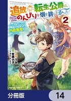 追放された転生公爵は、辺境でのんびりと畑を耕したかった 〜来るなというのに領民が沢山来るから内政無双をすることに〜【分冊版】 14