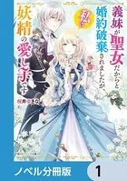 義妹が聖女だからと婚約破棄されましたが、私は妖精の愛し子です（ノベル分冊版）