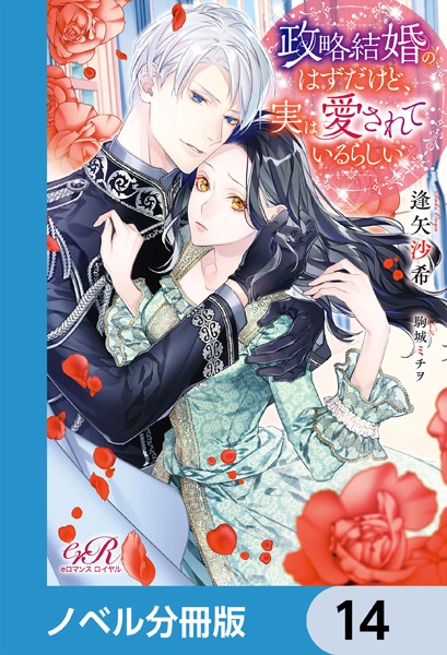 政略結婚のはずだけど、実は愛されているらしい【ノベル分冊版】 14