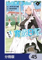 元・世界1位のサブキャラ育成日記 〜廃プレイヤー、異世界を攻略中！〜【分冊版】 45