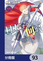 村人ですが何か？【分冊版】 93