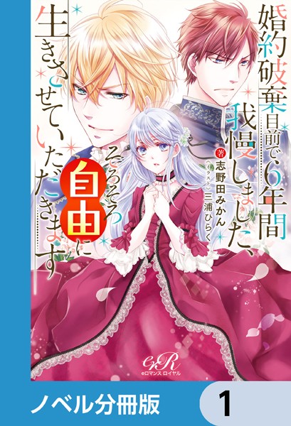婚約破棄目前で6年間我慢しました【ノベル分冊版】 1