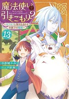魔法使いで引きこもり？ 13 〜モフモフと巻き込まれる水面下の騒動〜