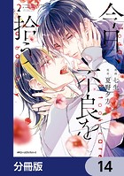 今日、不良を拾う【分冊版】 14