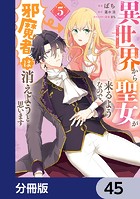 異世界から聖女が来るようなので、邪魔者は消えようと思います【分冊版】 45