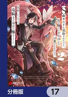 S級ギルドを追放されたけど、実は俺だけドラゴンの言葉がわかるので、気付いたときには竜騎士の頂点を極めてました。【分冊版】 17