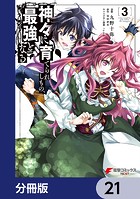 神々に育てられしもの、最強となる【分冊版】 21