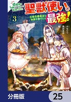 幼馴染のS級パーティーから追放された聖獣使い。万能支援魔法と仲間を増やして最強へ！【分冊版】 25