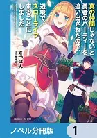 真の仲間じゃないと勇者のパーティーを追い出されたので、辺境でスローライフすることにしました【ノベル分冊版】