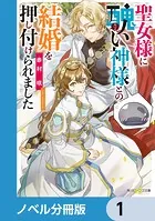 聖女様に醜い神様との結婚を押し付けられました【ノベル分冊版】
