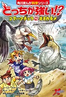 どっちが強い！？ コブハクチョウvsオオカモメ 水鳥のパワフル空中対決