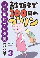 離婚まで100日のプリン 3 5年後にサレタ側のババロア