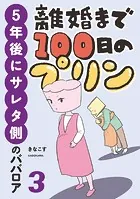 離婚まで100日のプリン 3 5年後にサレタ側のババロア