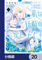 義妹が聖女だからと婚約破棄されましたが、私は妖精の愛し子です【分冊版】 20