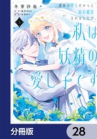 義妹が聖女だからと婚約破棄されましたが、私は妖精の愛し子です【分冊版】 28