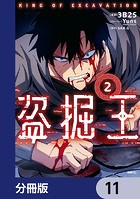 盗掘王【分冊版】 11