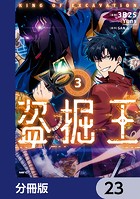 盗掘王【分冊版】 23