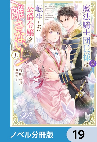 魔法騎士団長様（仮）は転生した公爵令嬢を離さない！【ノベル分冊版】 19