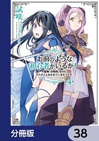 お前のような初心者がいるか！ 不遇職『召喚師』なのにラスボスと言われているそうです【分冊版】 38