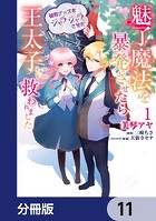 魅了魔法を暴発させたら破邪グッズをジャラジャラさせた王太子に救われました【分冊版】 11