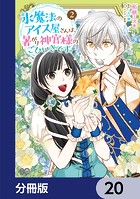 氷魔法のアイス屋さんは、暑がり神官様のごひいきです。【分冊版】 20
