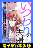 いつわりの夫婦 略奪した私がサレ妻になる【電子単行本版】