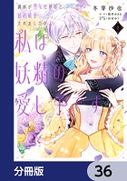 義妹が聖女だからと婚約破棄されましたが、私は妖精の愛し子です【分冊版】 36
