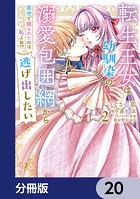 転生王女は幼馴染の溺愛包囲網から逃げ出したい 前世で振られたのは私よね！？【分冊版】 20