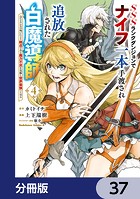 SSSランクダンジョンでナイフ一本手渡され追放された白魔導師 ユグドラシルの呪いにより弱点である魔力不足を克服し世界最強へと至る【分冊版】 37