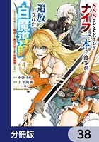 SSSランクダンジョンでナイフ一本手渡され追放された白魔導師 ユグドラシルの呪いにより弱点である魔力不足を克服し世界最強へと至る【分冊版】 38