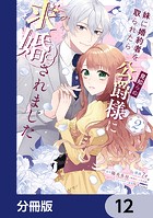 妹に婚約者を取られたら見知らぬ公爵様に求婚されました【分冊版】 12