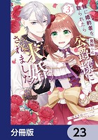 妹に婚約者を取られたら見知らぬ公爵様に求婚されました【分冊版】 23