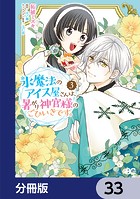 氷魔法のアイス屋さんは、暑がり神官様のごひいきです。【分冊版】 33