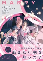 メリーメリーハッピーエンド