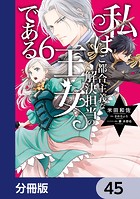 私はご都合主義な解決担当の王女である【分冊版】 45